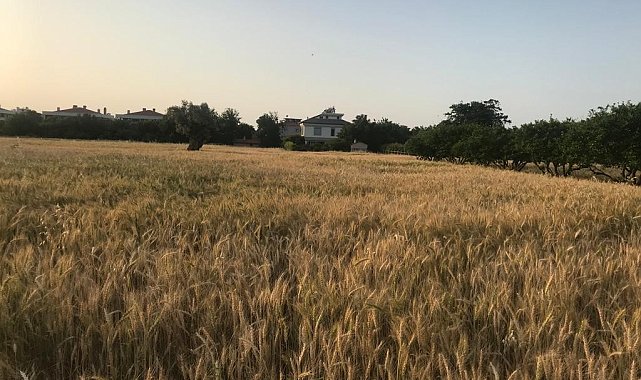 Para için değil örnek olmak için ekti