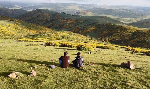 Perşembe Yaylası&#039;nda orman gülleri ile renk cümbüşü