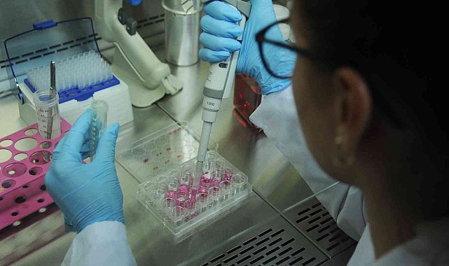 Polimer malzeme mühendisliğinden mezun olanlar işsiz kalmıyor