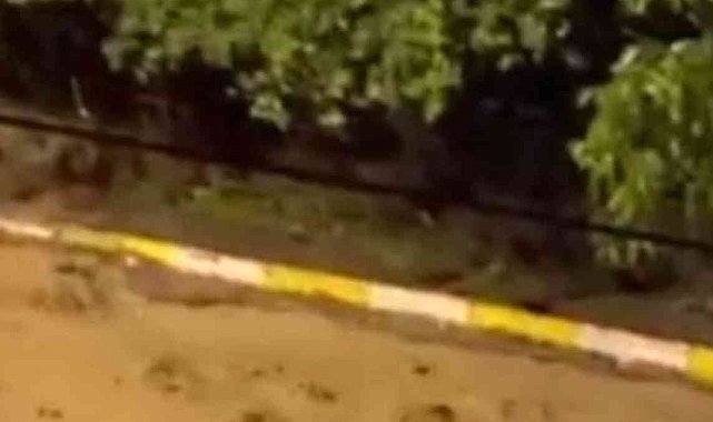 Posof&#039;ta sağanak ve dolu etkili oldu