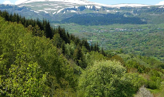 Posof'ta yağmur ve dolu etkili oldu
