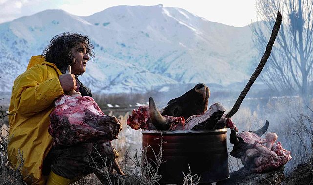 Profesörden, kesik &#039;öküz başlı&#039; sanat