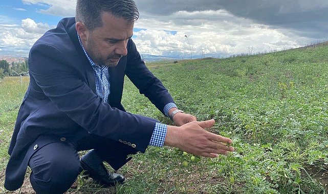 Pursaklar Belediyesinden üretim seferberliği
