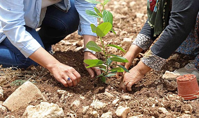 "Aronya" üreticiye alternatif olacak