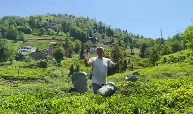 Rizeli çay üreticisinden Selçuk Bayraktar'a ilginç çağrı
