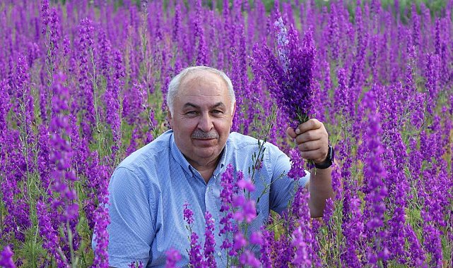 Sağanaklar doğayı mor'a boyadı