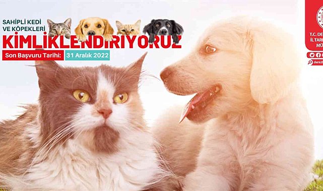 Sahipli kedi ve köpeklerin yıl sonuna kadar kimliklenmesi gerekiyor