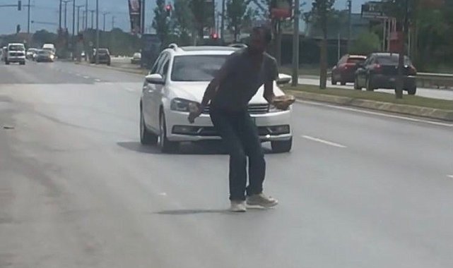 Sakarya&#039;da kaplumbağa için trafik durdu