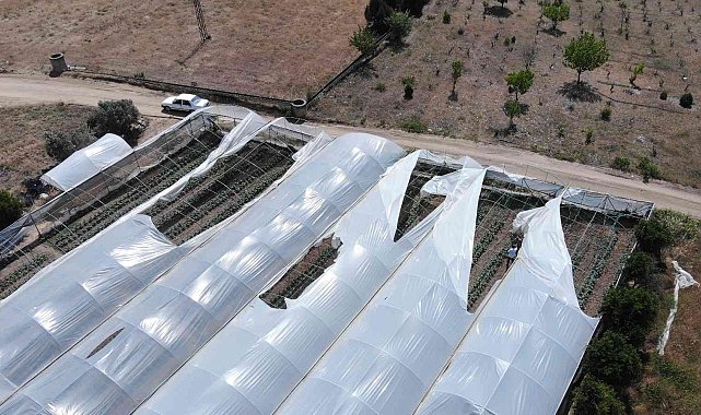 Salatalık seralarını hortum vurdu