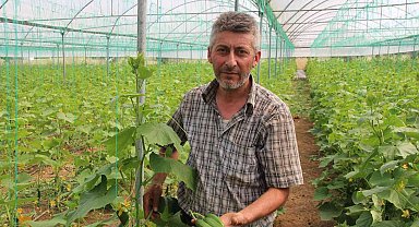 Salatalık tarlada 2, pazarda 5, marketlerde 7 ile 10 lira arası