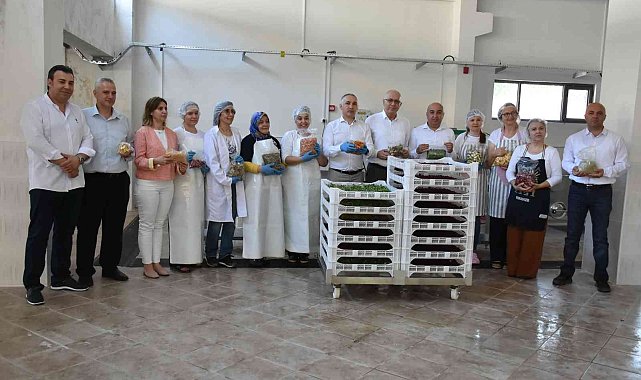 Salihli&#039;de kurutma tesisi üretime başladı