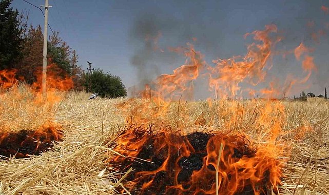 Şanlıurfa&#039;da çiftçilere anız uyarısı