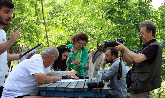 Sapanca'nın çınarları anılarını anlatacak