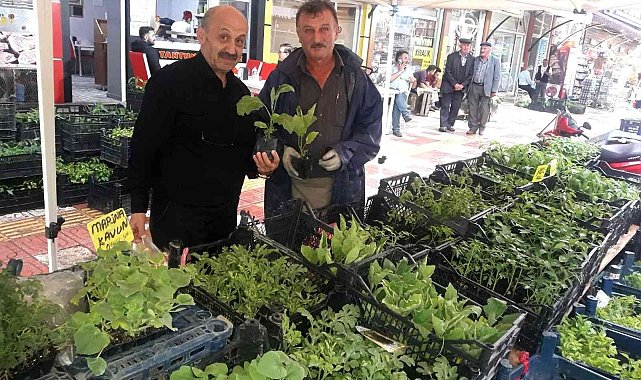 Sebze ve meyve yetiştirmek isteyenler fide satıcılarının yüzünü güldürdü
