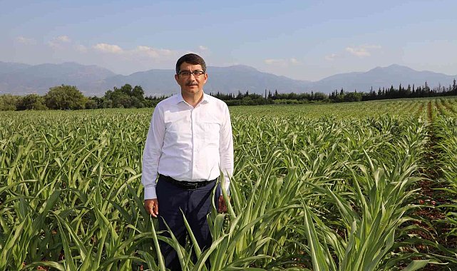 Şehzadeler Belediyesi tarımsal desteklemelerine yenilerini ekliyor