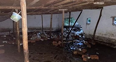 Sel baskınları ev ve besihanalerde göçüğe neden oldu