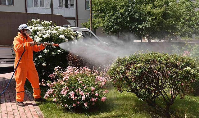 Selçuklu&#039;da haşerelere karşı ilaçlama çalışmaları sürüyor