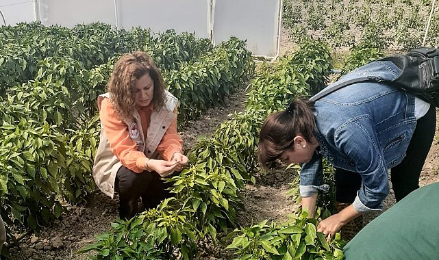 Seracıları bilgilendirme çalışmaları devam ediyor