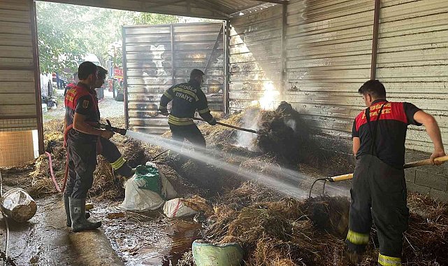 Seydikemer'de samanlık yangını