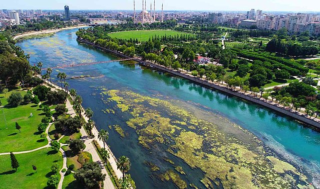 Seyhan Nehri&#039;ni yosunlar istila etti