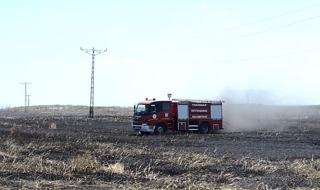 Sigara izmariti 50 dönüm buğdayı 10 dakikada küle çevirdi