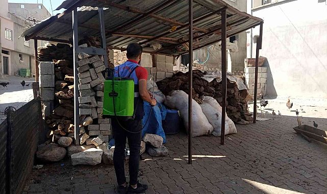 Siirt belediyesinden dezenfekte ve ilaçlama çalışmaları