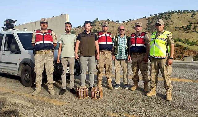 Siirt'te kaçak avcıya tutanak tutuldu