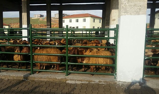 Siirt&#039;te kurban satış ve kesim yerleri belirlendi