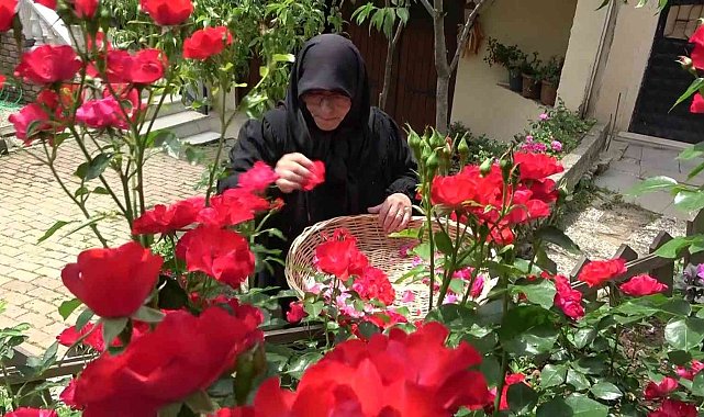 Şile'de üretilen doğal enginar ve gül sirkesi yoğun talep görüyor