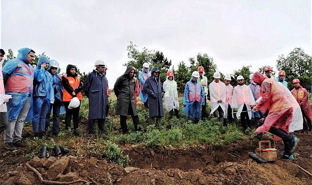Simav'da ağaçlandırma, silvikültür tatbikatı