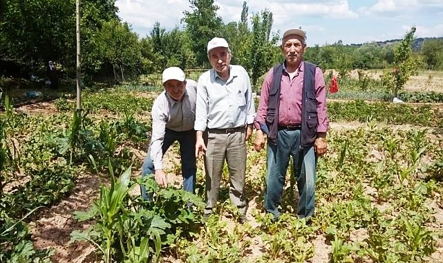 Simav&#039;da sebze ve meyveler sağanak yağmur ve doludan zarar gördü