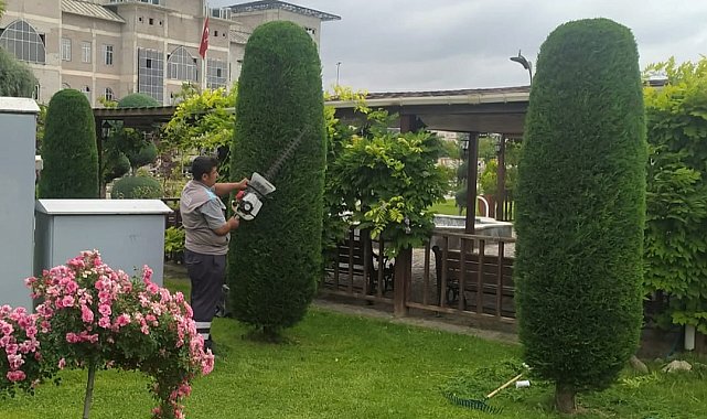 Sincan&#039;da yeşil sanat