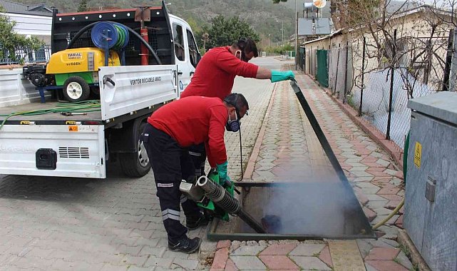 Sineksiz yaz için yoğun mücadele