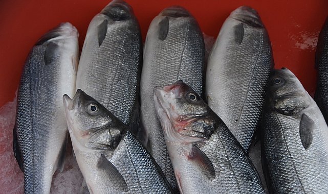 Sinop&#039;ta balık tezgahlarında son durum