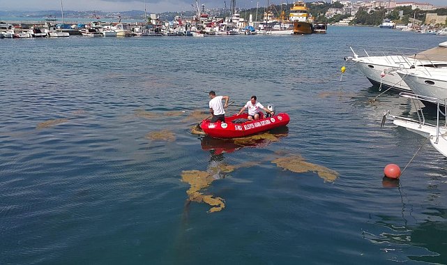 Sinop'ta deniz yüzeyinde oluşan kirlilik temizleniyor