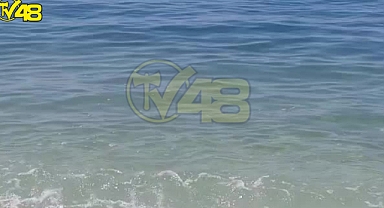 Sintinesini Bırakan Tekne Sahili Pislik İçinde Bıraktı