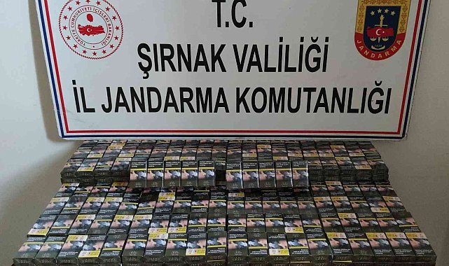 Şırnak&#039;ta kaçakçılık ve asayiş operasyonu: 51 gözaltı