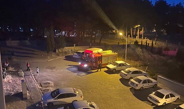 Site bahçesindeki yılan paniği