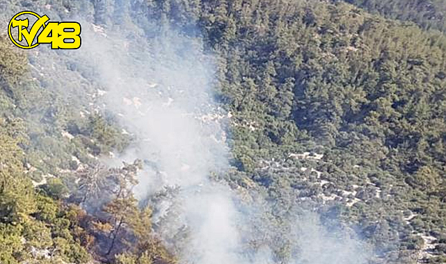 Sondakika! Milas&#039;ta Orman Yangını !