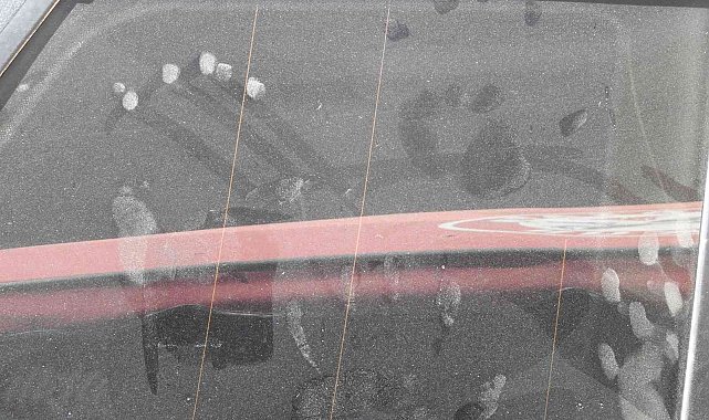 Spil Dağı Milli Parkı&#039;nda ilk kez ayı görüldü