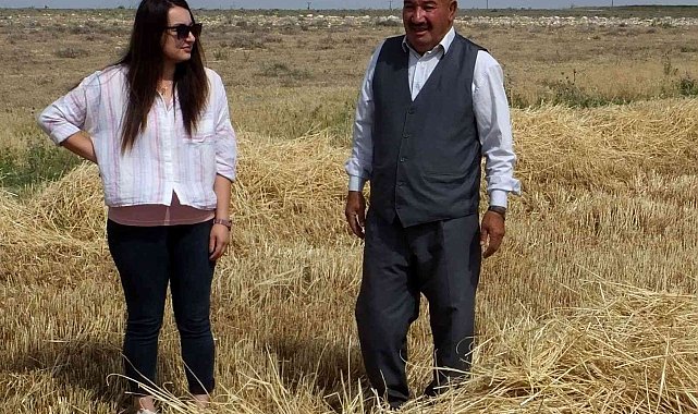 Sultanhanı&#039;nda biçerdöverler kontrol geçiyor