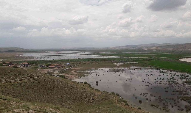 Sungurlu'da tarım arazileri sular altında kaldı