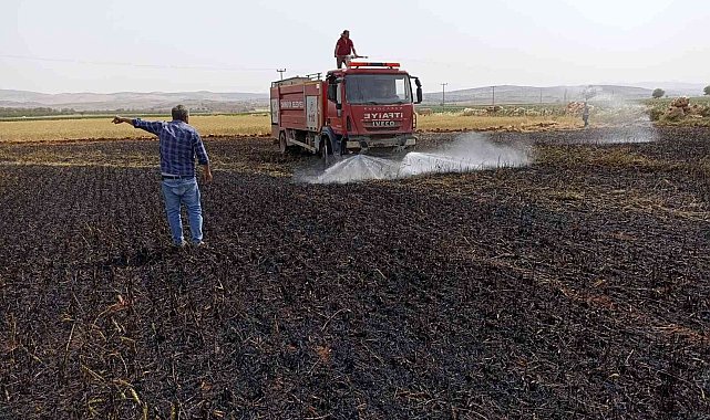Tarlada çıkan yangında 5 dönüm buğday küle döndü