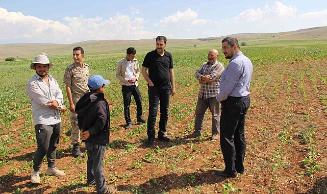 Tarlada mevsimlik işçilerle hasbihal