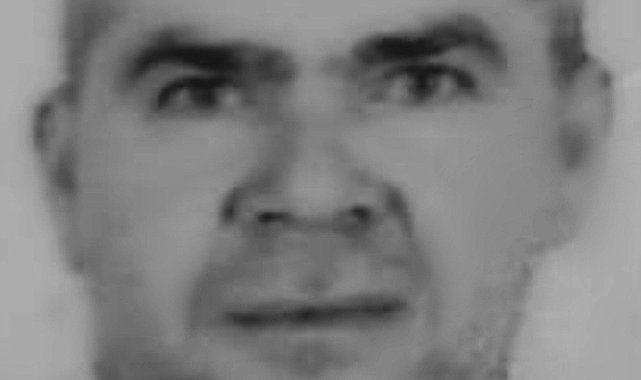 Tarlada ot biçerken hayatını kaybetti