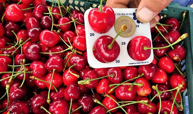 Tokat'tan Hindistan'a kiraz ihracatı