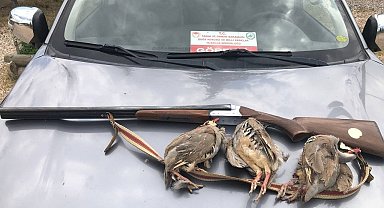 Tunceli'de kaçak avcıya ceza