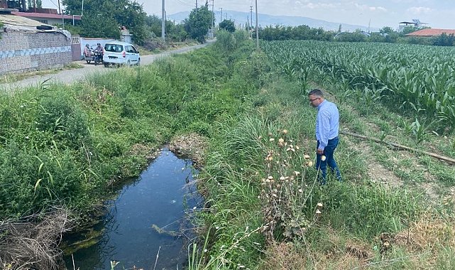 Turgutlu ve Salihli'de haşereyle mücadele