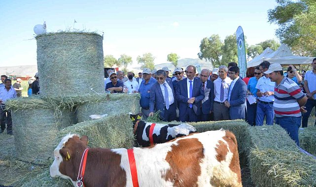 Üniversite Projeleri sonuç verdi &#039;Tarla Günü&#039; etkinliği düzenlendi