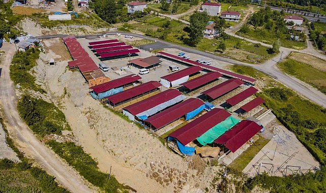 Ünye&#039;de modern hayvan pazarı hizmete açıldı